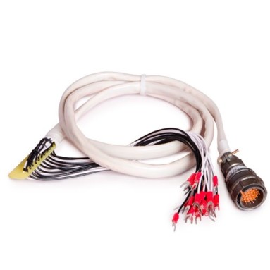 021.24.00.000, фото 2