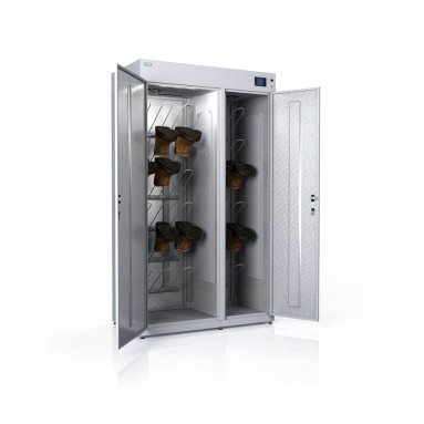 DION MAXI, фото 2