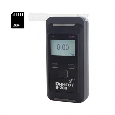 Динго Е-200 (В) со слотом для SD карты