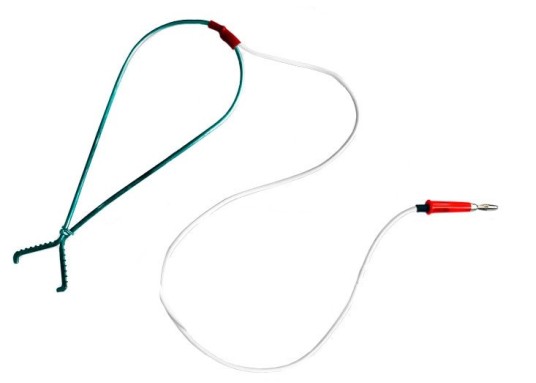 023.21.00.000-01, фото 2