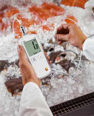 Testo 108-2 (0563 1082)